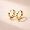 Shineaura Gold Plated Classic Hoop Earrings for Women & Girls