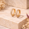 Shineaura Gold Plated Crystal Hoop Earrings for Women & Girls